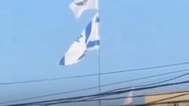 7691773856806202601201015131513