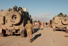 7691773856806202601201250355035