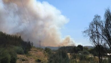 769177385680620260125050637637