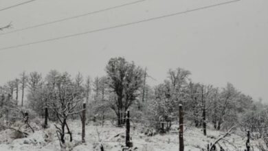 7691773856806202601250626252625