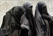 78164345347120260120050434434