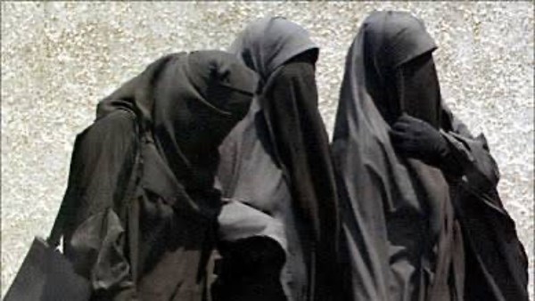 78164345347120260120050434434