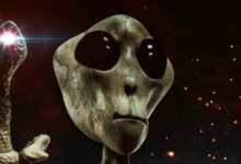 782149096466320260120033606366