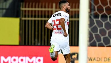 81539387265420250831100731731