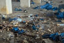 823677143272202601210423122312