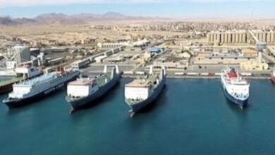 8351016650636202504100858465846