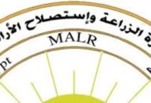 8351016650636202505110513411341