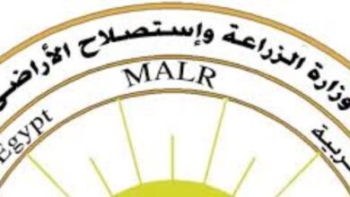 لاختيار أفضل أصناف البطاطس.. اتحاد المصدرين ينفذ 50 حقلا إرشاديا وتجريبيا 5 8351016650636202505110513411341