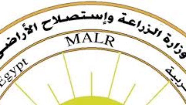 8351016650636202505110513411341