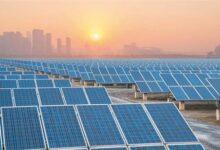 8351016650636202601181031523152