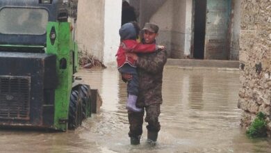 864874869246202601211236423642