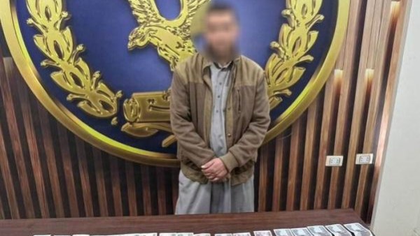 86864922101202601040431593159