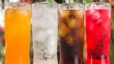 88144645400020260121090524524