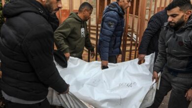 AA 20260109 40204544 40204535 LJYSH LSRYYLY YJDD QSFH LJWY WLMDFY L QT GZ