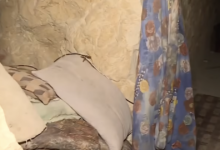 E2808FD984D982D8B7D8A920D8A7D984D8B4D8A7D8B4D8A920D9A2D9A0D9A2D9A6