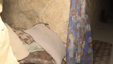 E2808FD984D982D8B7D8A920D8A7D984D8B4D8A7D8B4D8A920D9A2D9A0D9A2D9A6