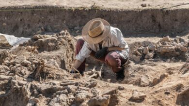 GettyImages 1271701487