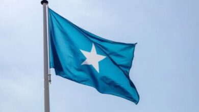 الصومال يؤكد التزامه بتعزيز الدبلوماسية الاقتصادية لبناء شراكات مستدامة 6 elaosboa10927