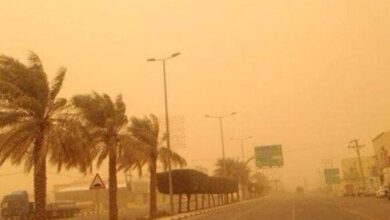 «ارتدوا الكمامات».. الأرصاد تحذر مرضى الحساسية والجيوب الأنفية من طقس الساعات المقبلة 7 elaosboa84537 1