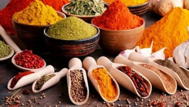 2022 4 21 13 20 39 85.webp