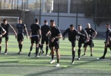 202602101031563156 487