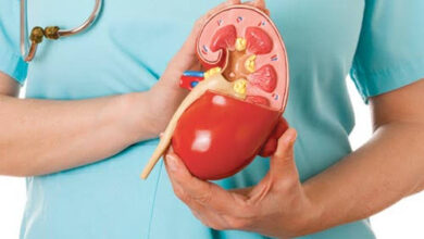 5 أطعمة تناولها بانتظام للحفاظ على صحة الكلى 5 563