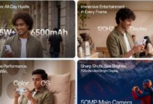 6191199579011202602020158455845