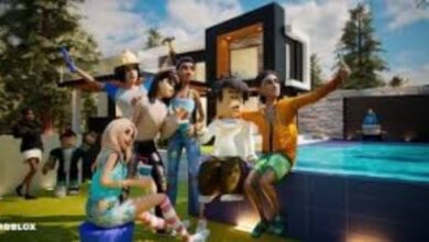 6202055615386202602030326372637