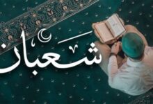 626525040358202602010129122912