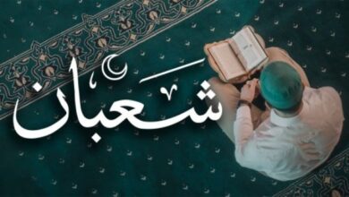 626525040358202602010129122912