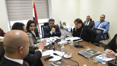 63185856718620260203060716716