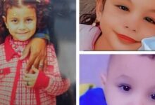 6861326662935202602031016341634