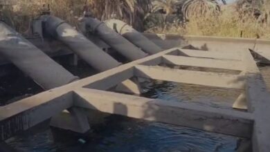 699200975598202602020113161316