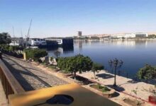 699200975598202602021158335833