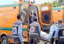 7011395793464202602020715571557