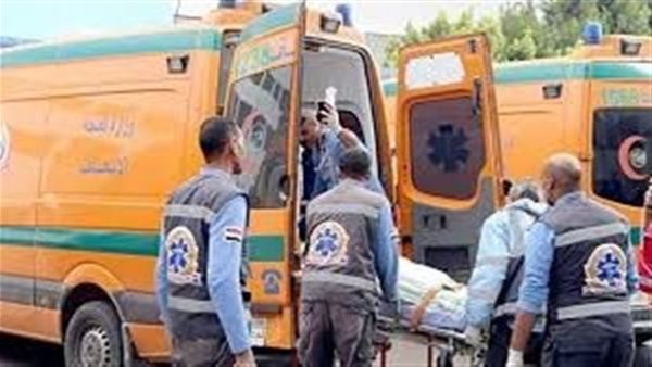 مصرع شاب وإصابة آخر في انقلاب جرار زراعي بالفرافرة بالوادي الجديد 1 7011395793464202602020715571557