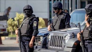 709893077924202601210219441944