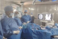 7123160596920260128060833833