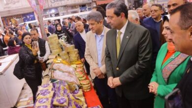 7123160596920260202100248248