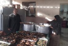 71455802112026020209050050