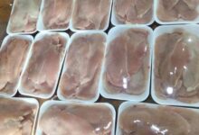 730770149900202602030149354935