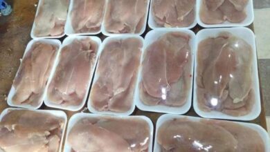 أسعار الفراخ والبانيه الآن .. الكيلو وصل كام؟ 5 730770149900202602030149354935