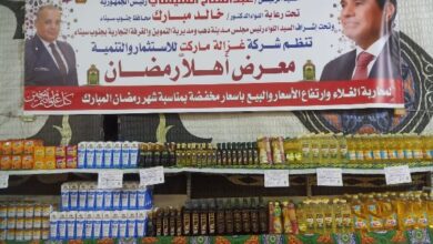 766398298220260203020440440