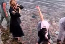 7663982982202602030529572957