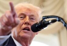 7691773856806202602010515461546