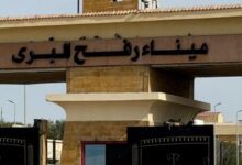 7691773856806202602020318411841