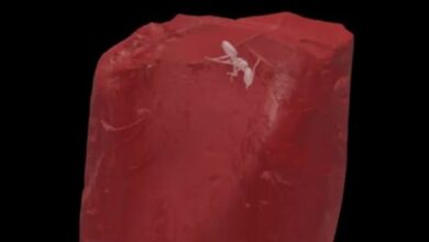 7821490964663202602011238403840