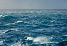 7821490964663202602030131323132