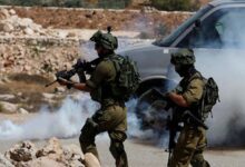 83510166506362026011912010414