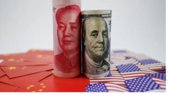 8351016650636202602020936143614